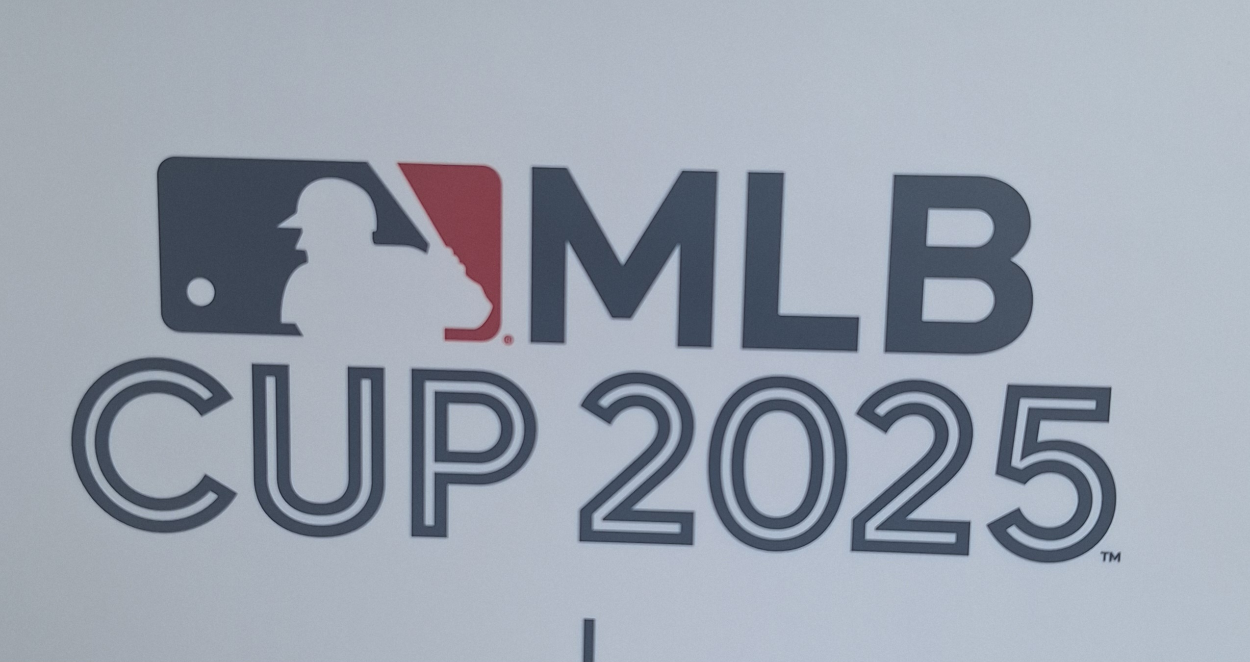 MLBカップ 　勝呂ボーイズ決勝進出！